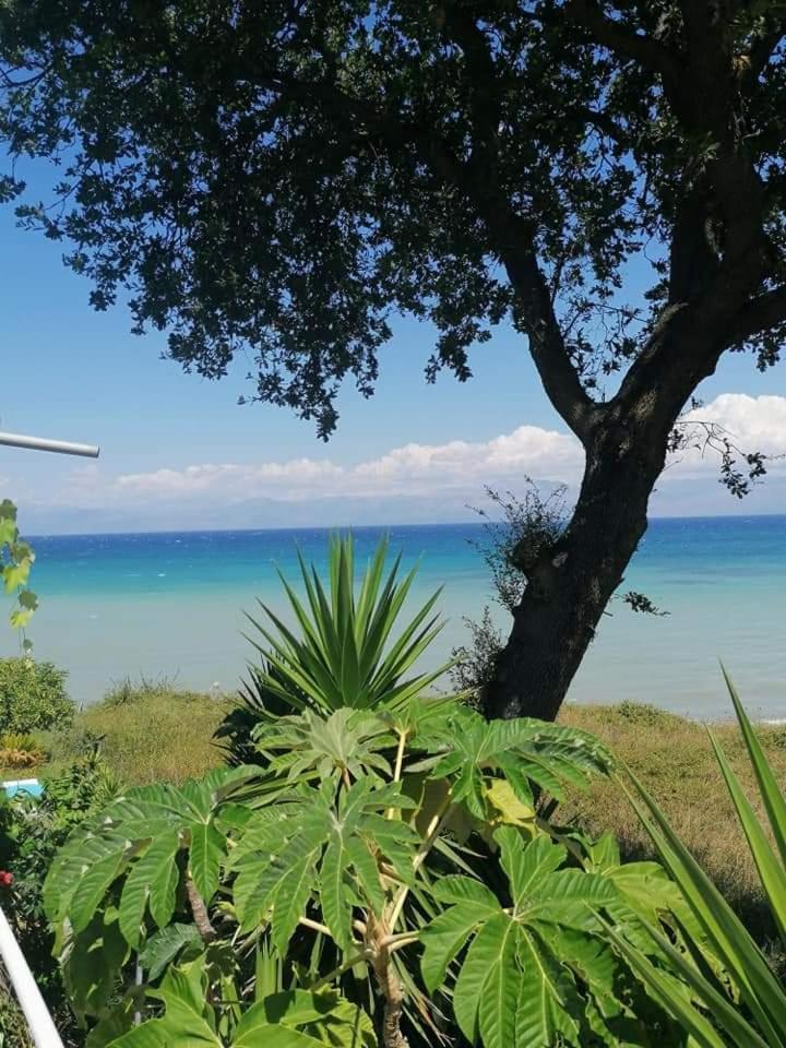 Apartament Astrakeroula Corfu *